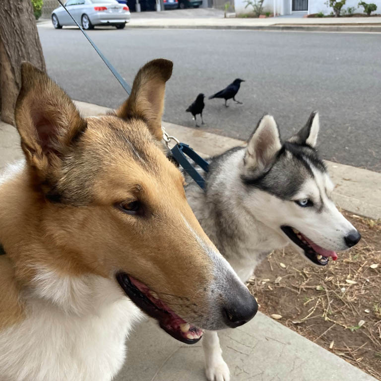 Paul and Milo in Santa Monica